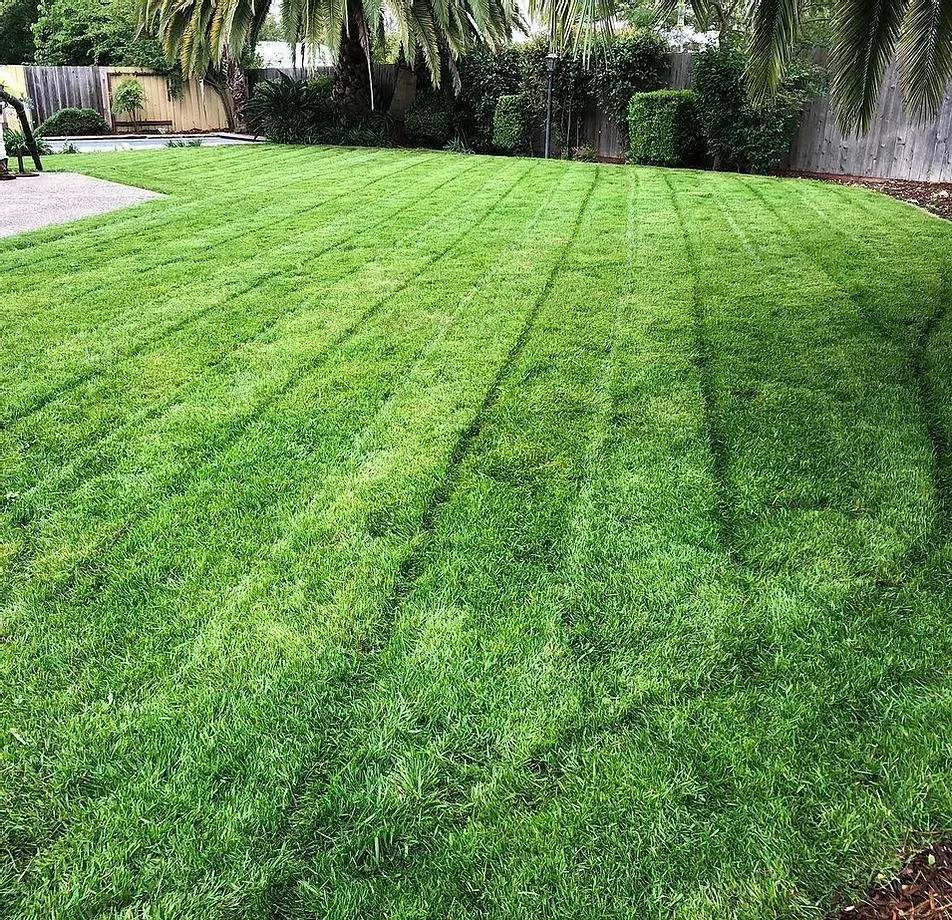 Custom garden landscaping for homes in Dalton, GA by S A Landscaping