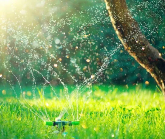 Custom lawn mowing service for outdoor upgrades in Dalton, GA by S A Landscaping