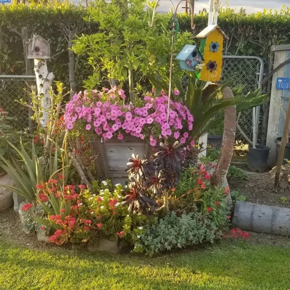 Reliable yard cleanup service in La Puente, CA by S A Landscaping Services