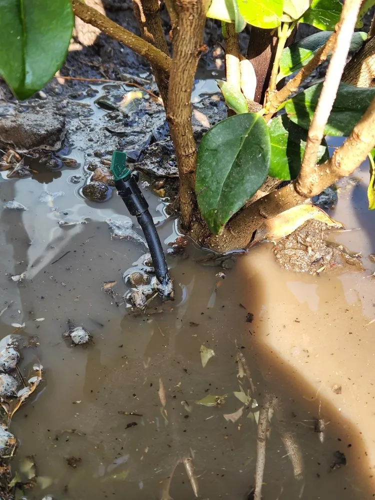 Trusted garden landscaping for homes in La Puente, CA by S A Landscaping Services