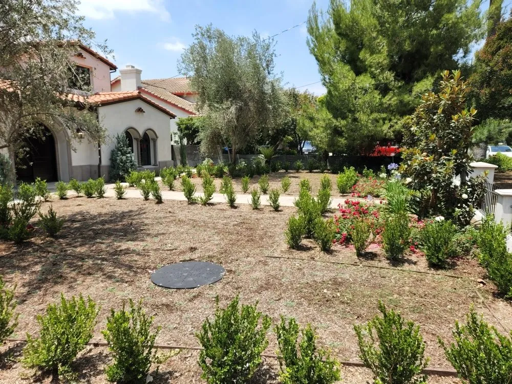 Professional outdoor landscaping in La Puente, CA by S A Landscaping Services