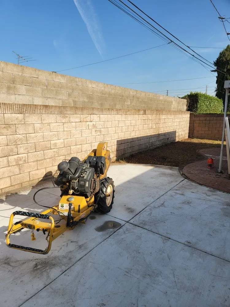 Professional residential landscaping for residential properties in La Puente, CA by S A Landscaping Services