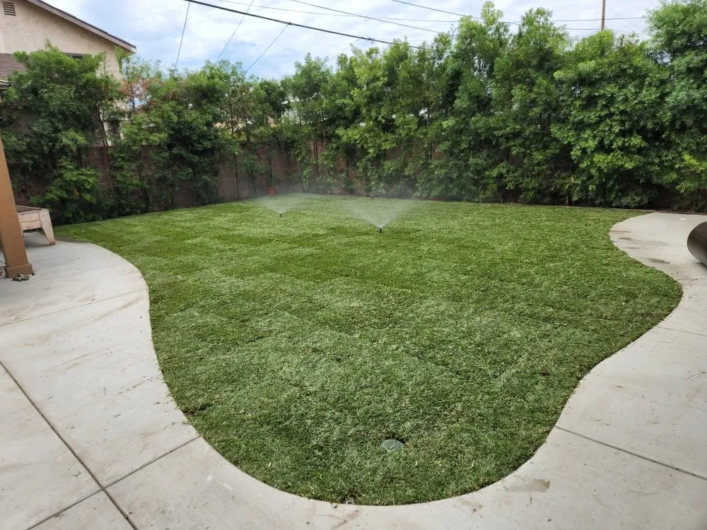 Reliable yard maintenance near you across La Puente, CA - S A Landscaping Services