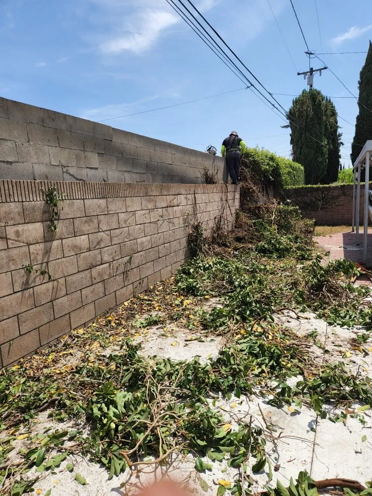 Expert garden landscaping for outdoor upgrades across La Puente, CA - S A Landscaping Services