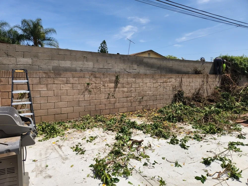 Top-rated yard cleanup service experts serving La Puente, CA - S A Landscaping Services