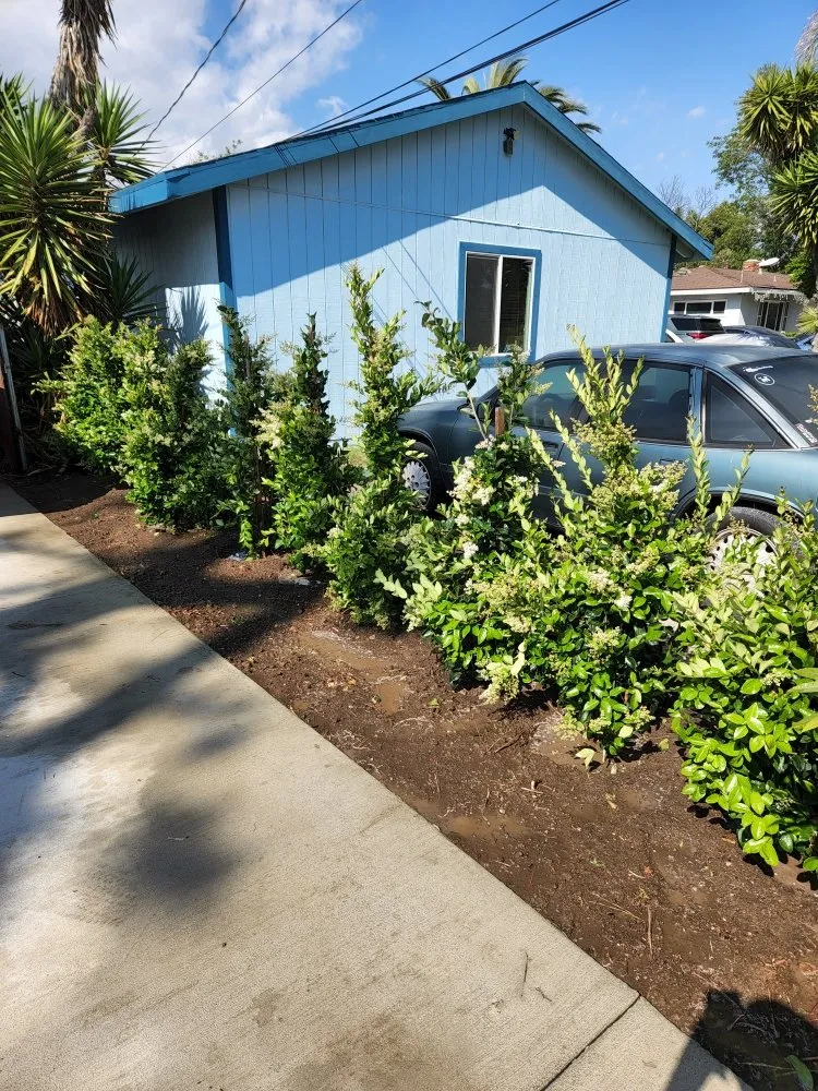Reliable landscape design near you across La Puente, CA - S A Landscaping Services