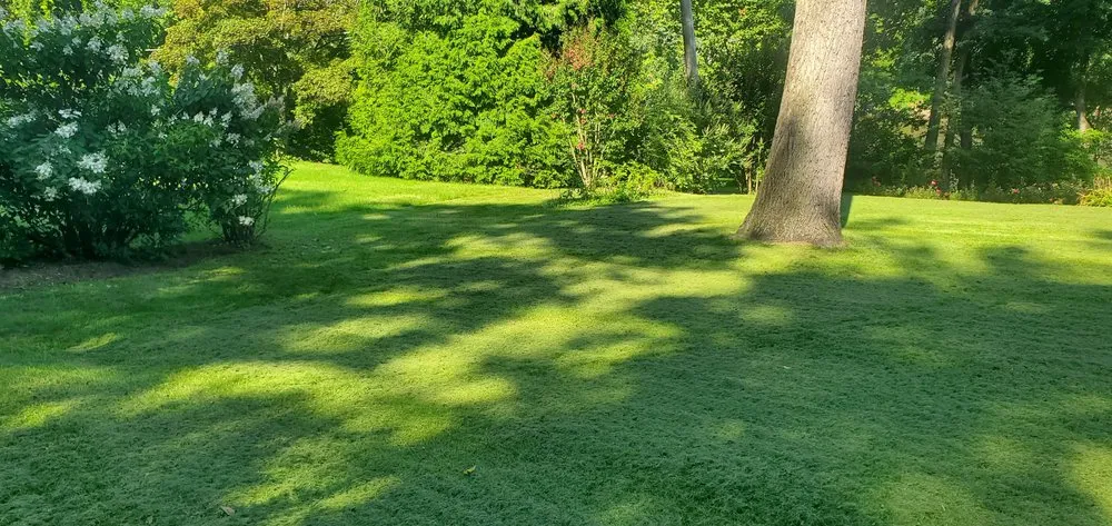 Reliable landscaping services in Northampton, PA by S-A-S Lawns N More