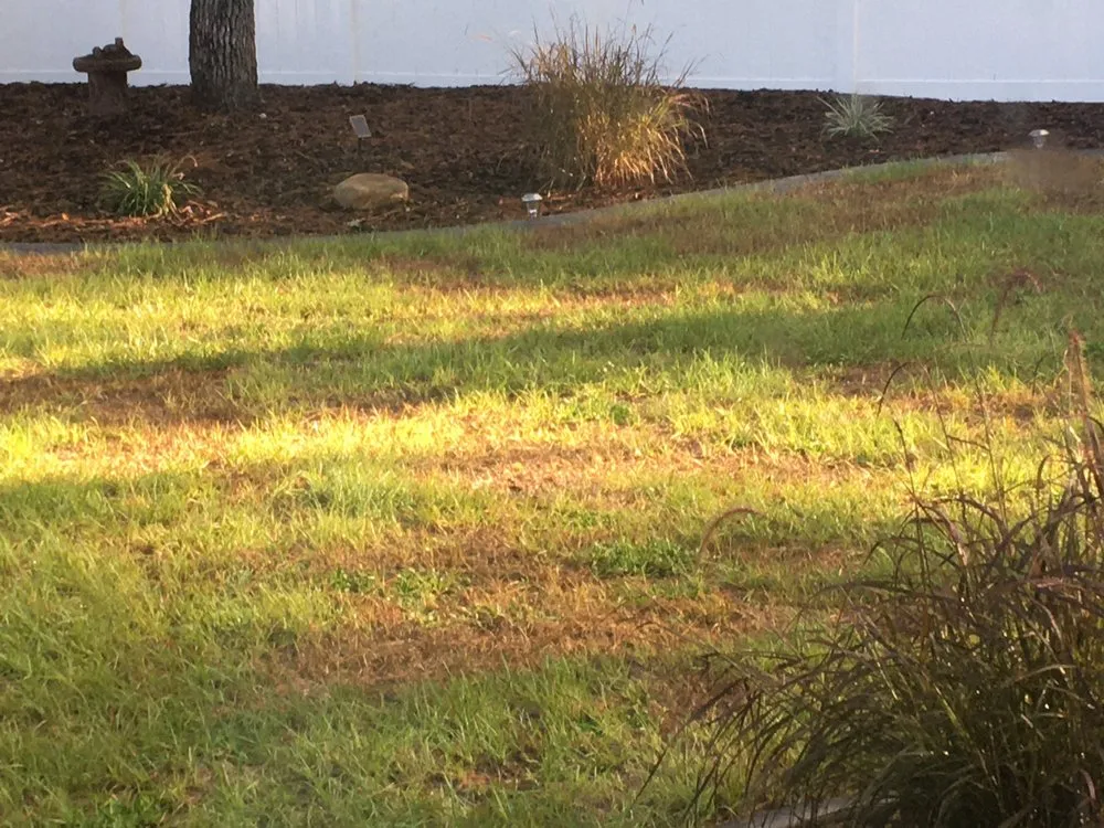 Reliable lawn care service in Beverly Hills, FL by S A Sod & Landscaping