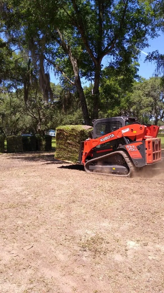 Professional yard cleanup service in Beverly Hills, FL - S A Sod & Landscaping