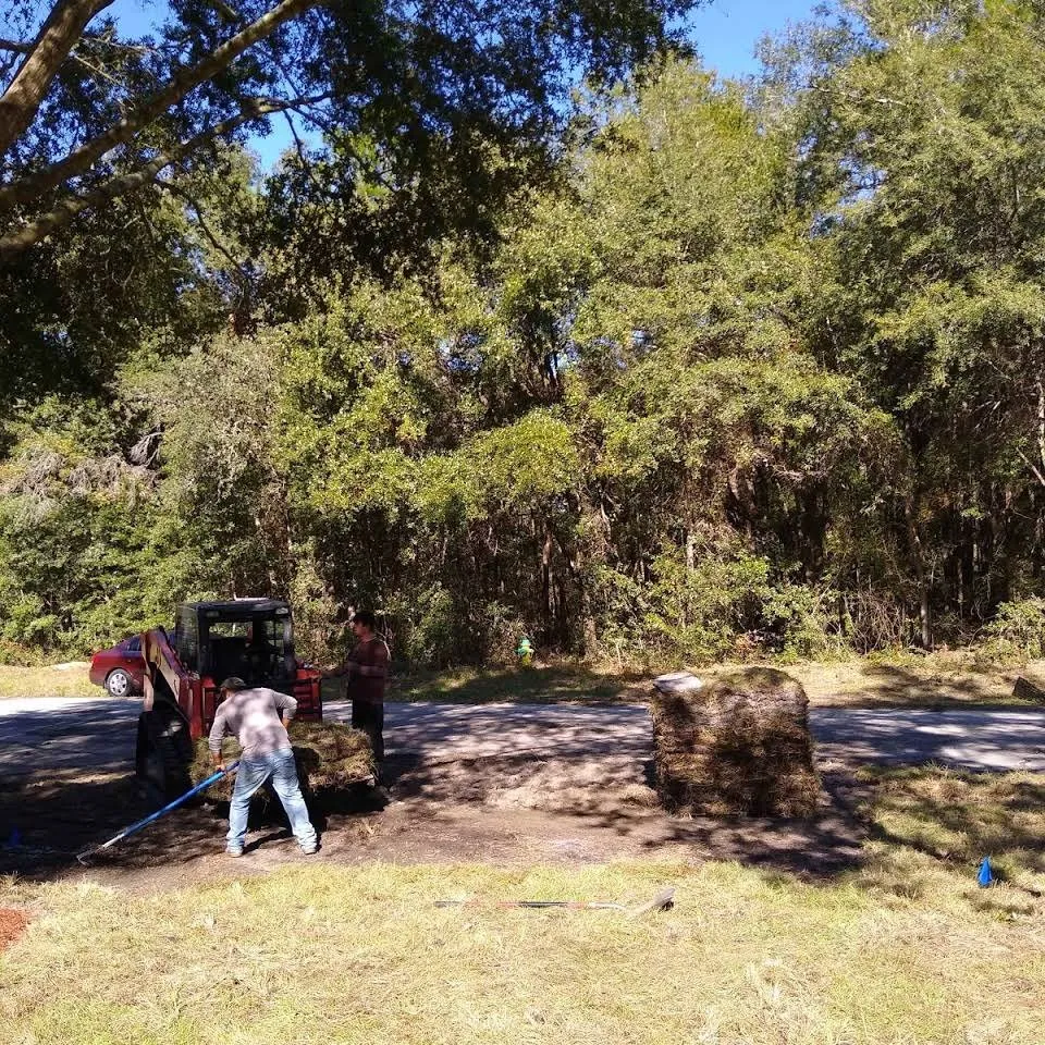 Affordable landscape installation for residential properties in Beverly Hills, FL by S A Sod & Landscaping