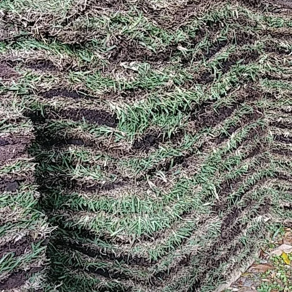 Top-rated yard maintenance in Beverly Hills, FL by S A Sod & Landscaping