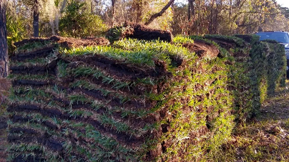 Affordable landscape installation in Beverly Hills, FL by S A Sod & Landscaping