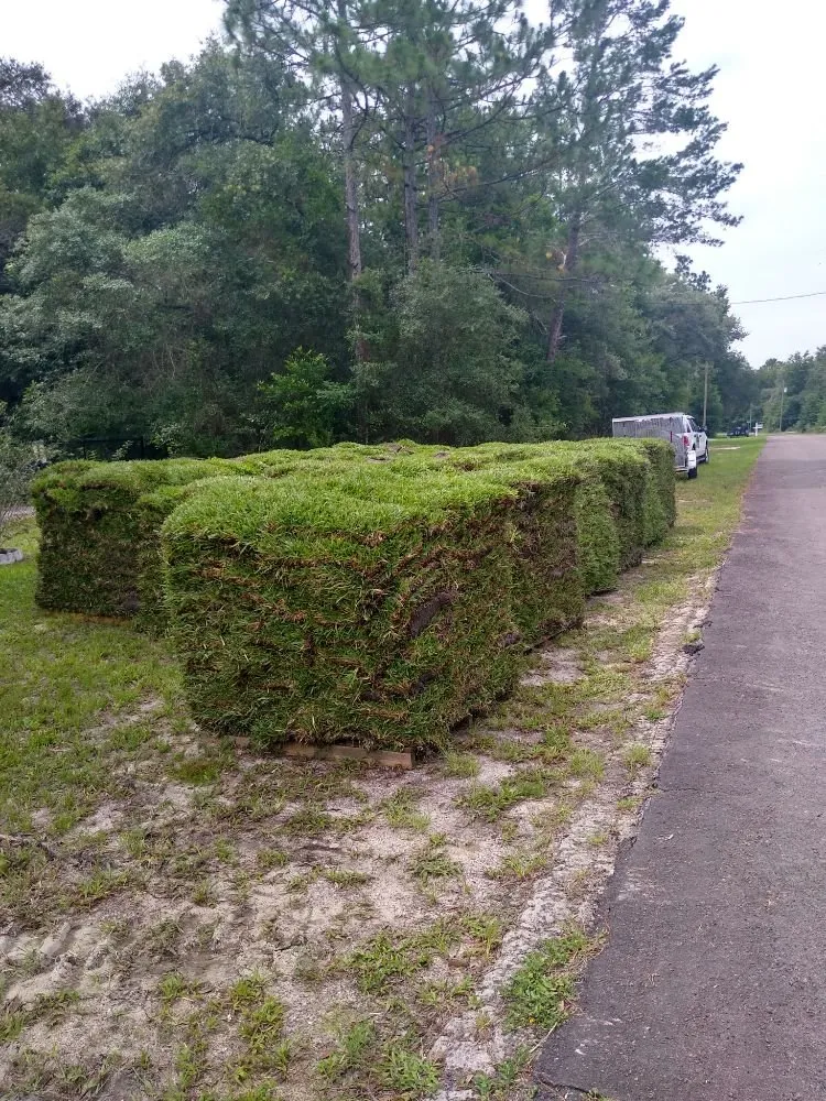 Affordable yard cleanup service for year-round maintenance in Beverly Hills, FL by S A Sod & Landscaping