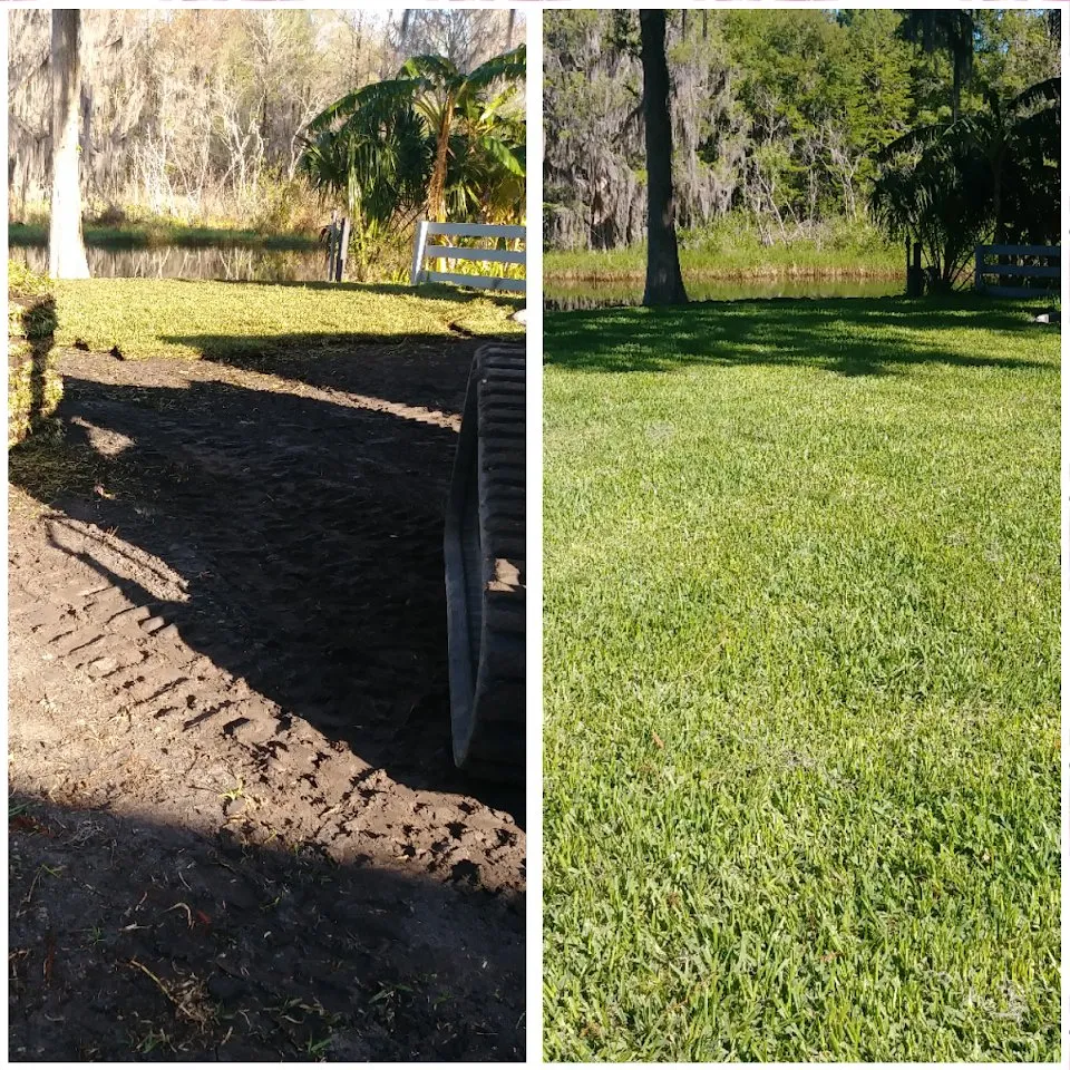 Trusted landscape design for outdoor upgrades across Beverly Hills, FL - S A Sod & Landscaping