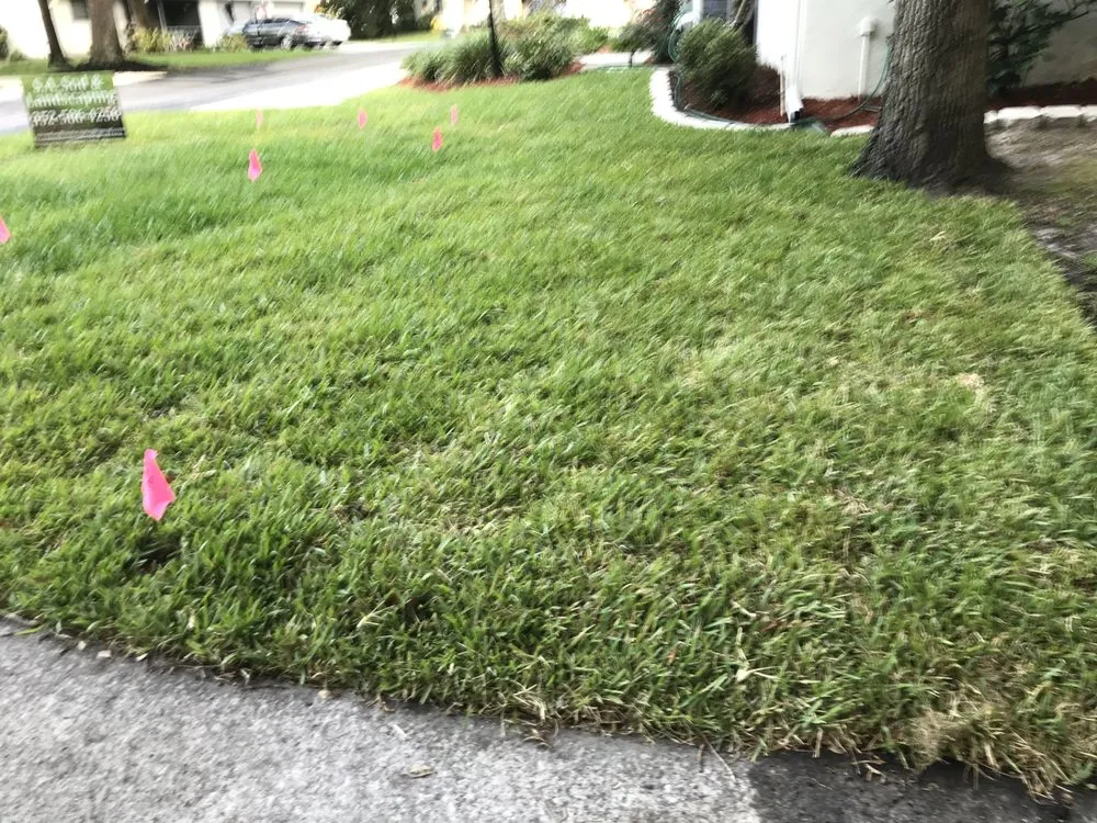 Professional yard cleanup service in Beverly Hills, FL by S A Sod & Landscaping