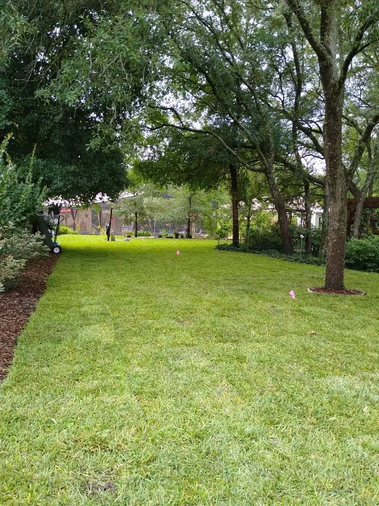 Expert residential landscaping near you across Beverly Hills, FL - S A Sod & Landscaping