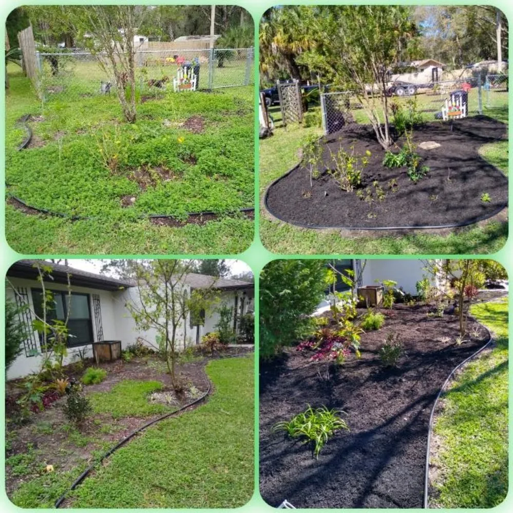 Custom lawn care service in Beverly Hills, FL by S A Sod & Landscaping