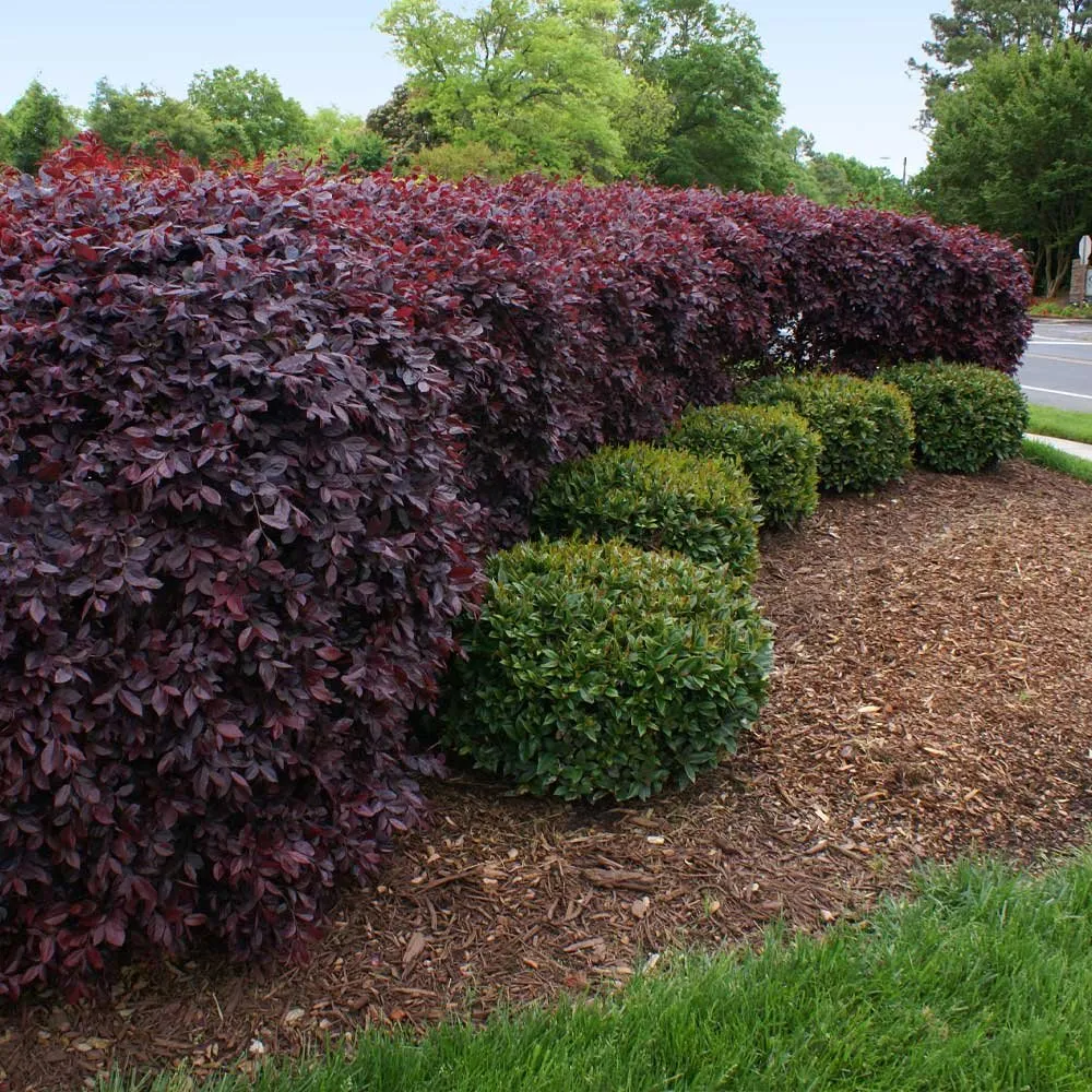 Reliable outdoor landscaping experts serving Rome, GA - S and A Landscaping