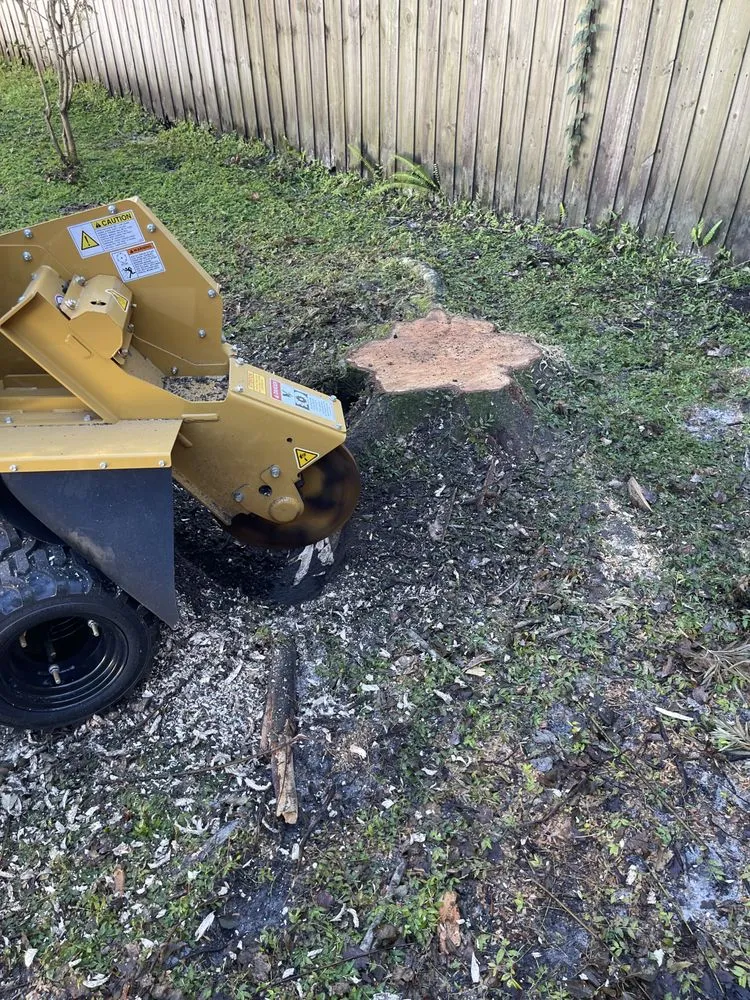 Custom landscape installation in Sanford, FL - S and B Trees and Landscape