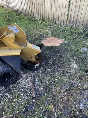 S and B Trees and Landscape Logo