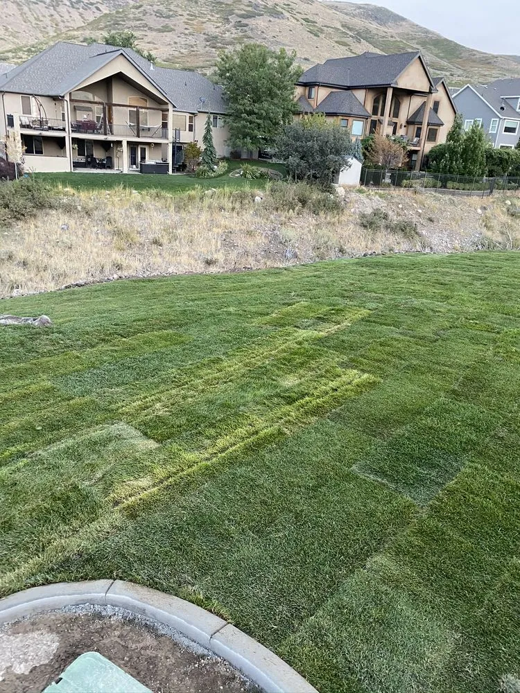 Reliable yard cleanup service in West Valley City, UT by S and L Landscaping