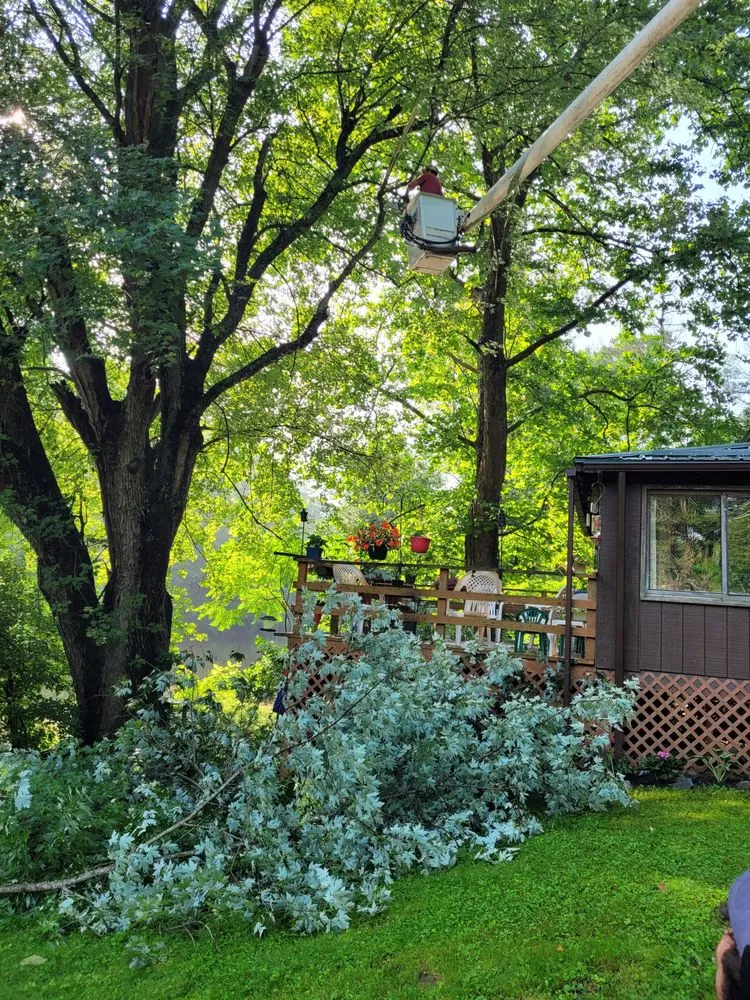 Expert lawn care service experts serving Christiansburg, VA - S and M Lawn and Landscaping