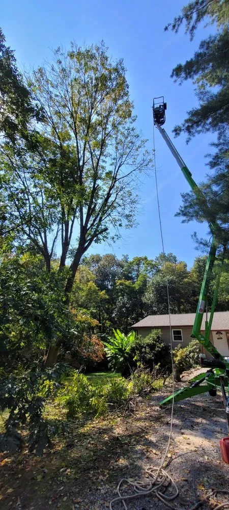 Top-rated landscape design for residential properties in Christiansburg, VA by S and M Lawn and Landscaping