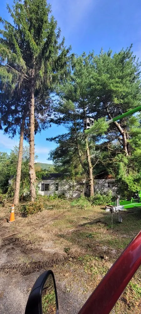 Trusted yard maintenance in Christiansburg, VA - S and M Lawn and Landscaping