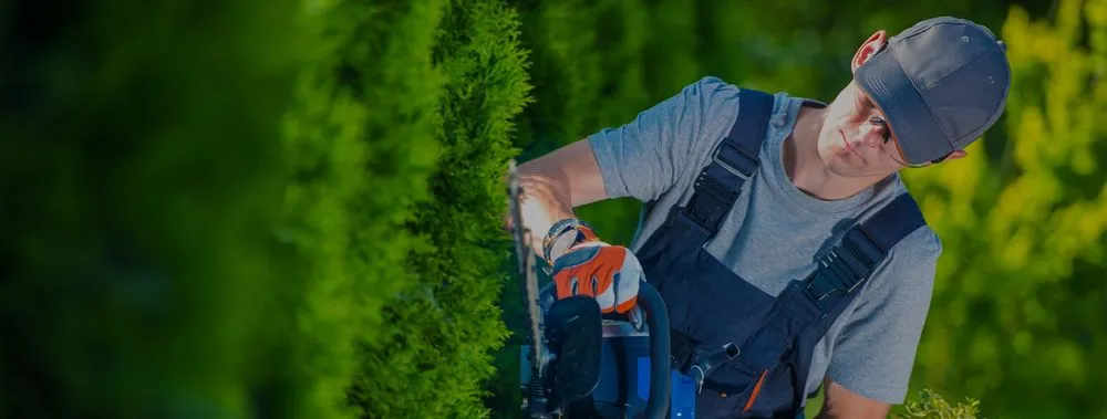 Professional garden landscaping experts serving Perris, CA - S and R Landscaping