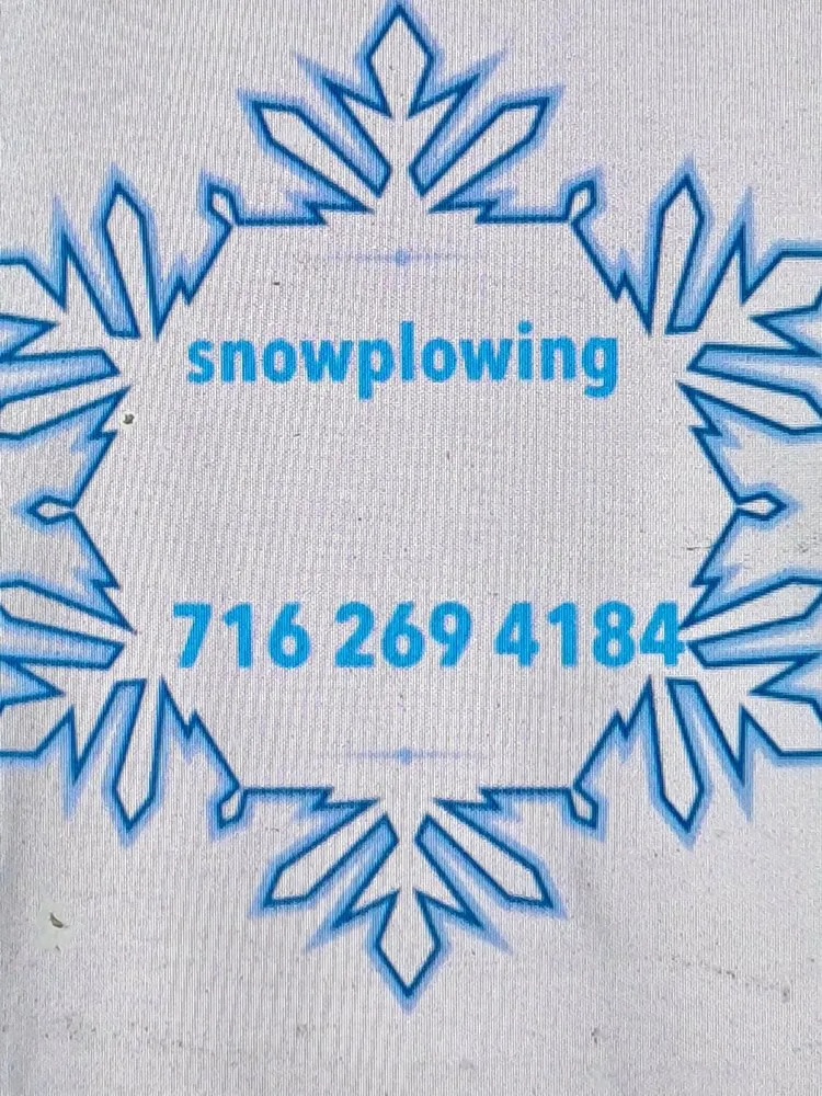 Affordable yard cleanup service in Ripley, NY - S And R Mowing