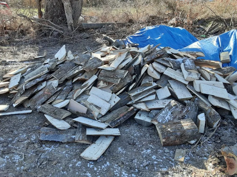 Affordable lawn care service in Ripley, NY - S And R Mowing