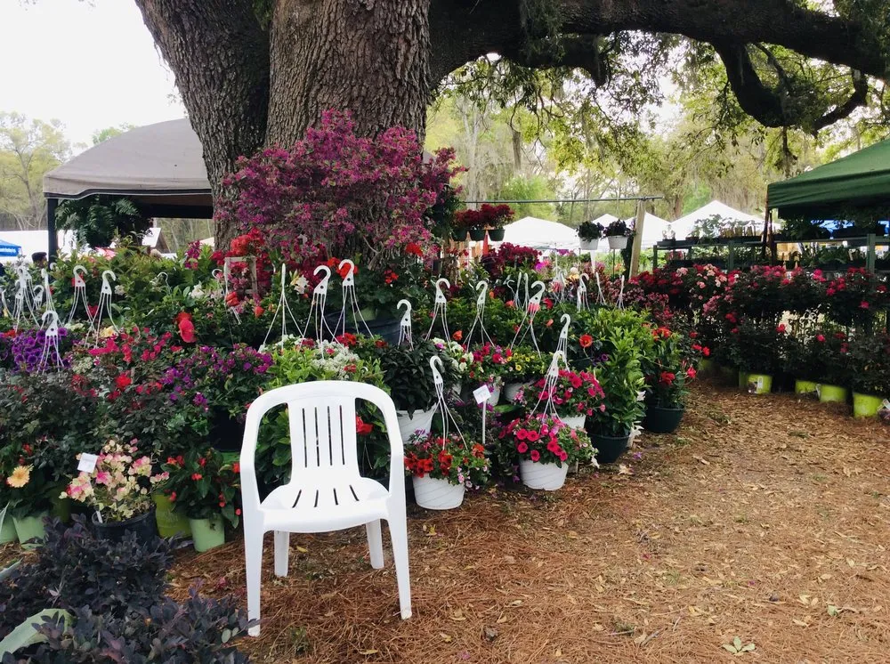 Trusted yard cleanup service with custom design in Ocala, FL by S and S Brothers