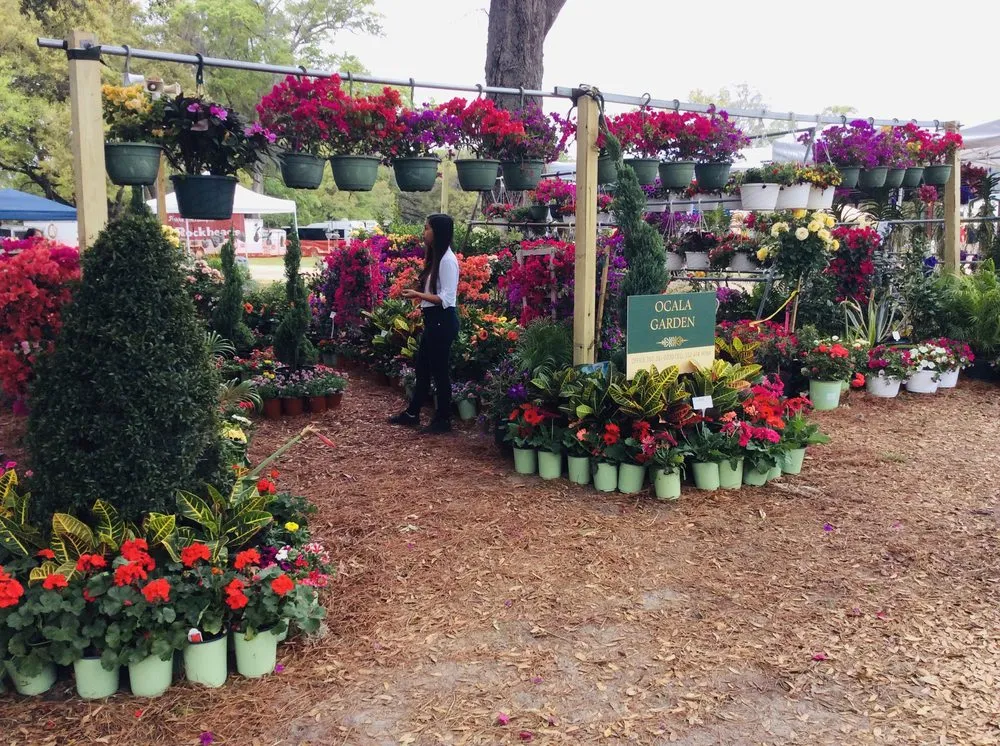 Trusted yard cleanup service in Ocala, FL by S and S Brothers