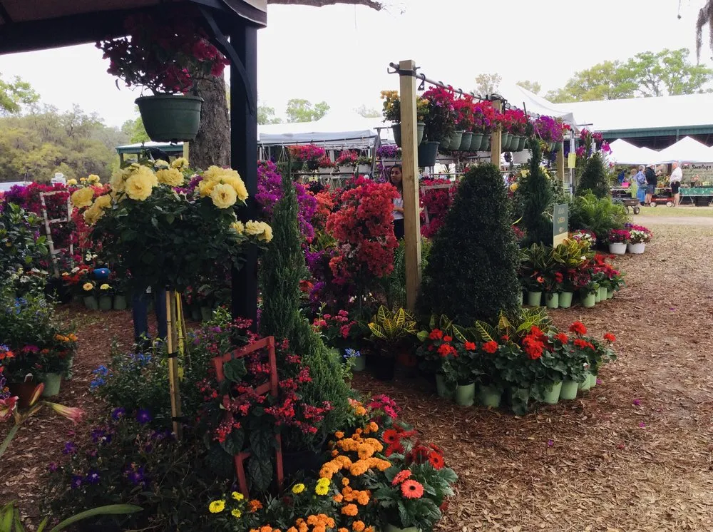 Local yard maintenance for homes across Ocala, FL - S and S Brothers