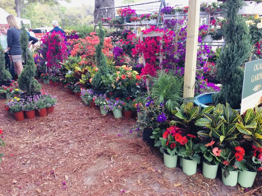 Expert yard maintenance in Ocala, FL by S and S Brothers