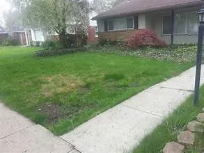 Trusted yard cleanup service for residential properties across Spokane, WA - S and S Lawn Care