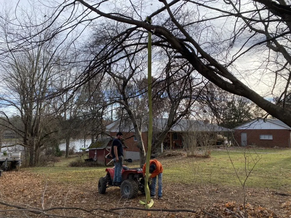 Reliable yard cleanup service in Waynetown, IN - S and T Auto Repair and Landscaping