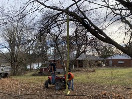 S and T Auto Repair and Landscaping