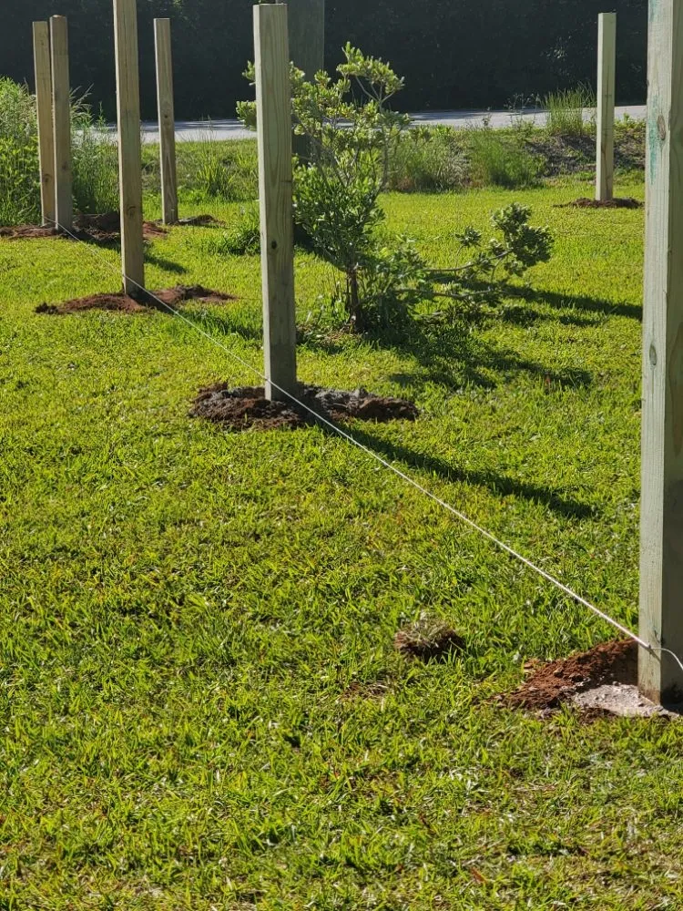 Local yard cleanup service for beautiful yards in Valley, AL by S E Fencing & Outdoors