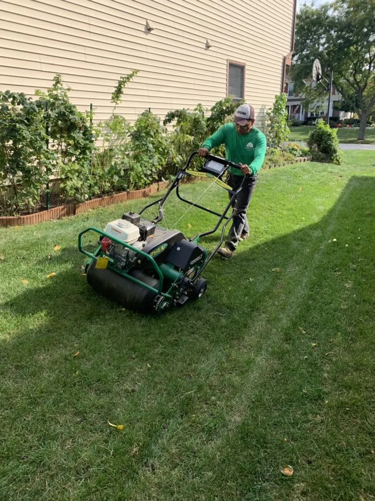 Professional yard maintenance experts serving Carpentersville, IL - S Gonzalez Landscaping