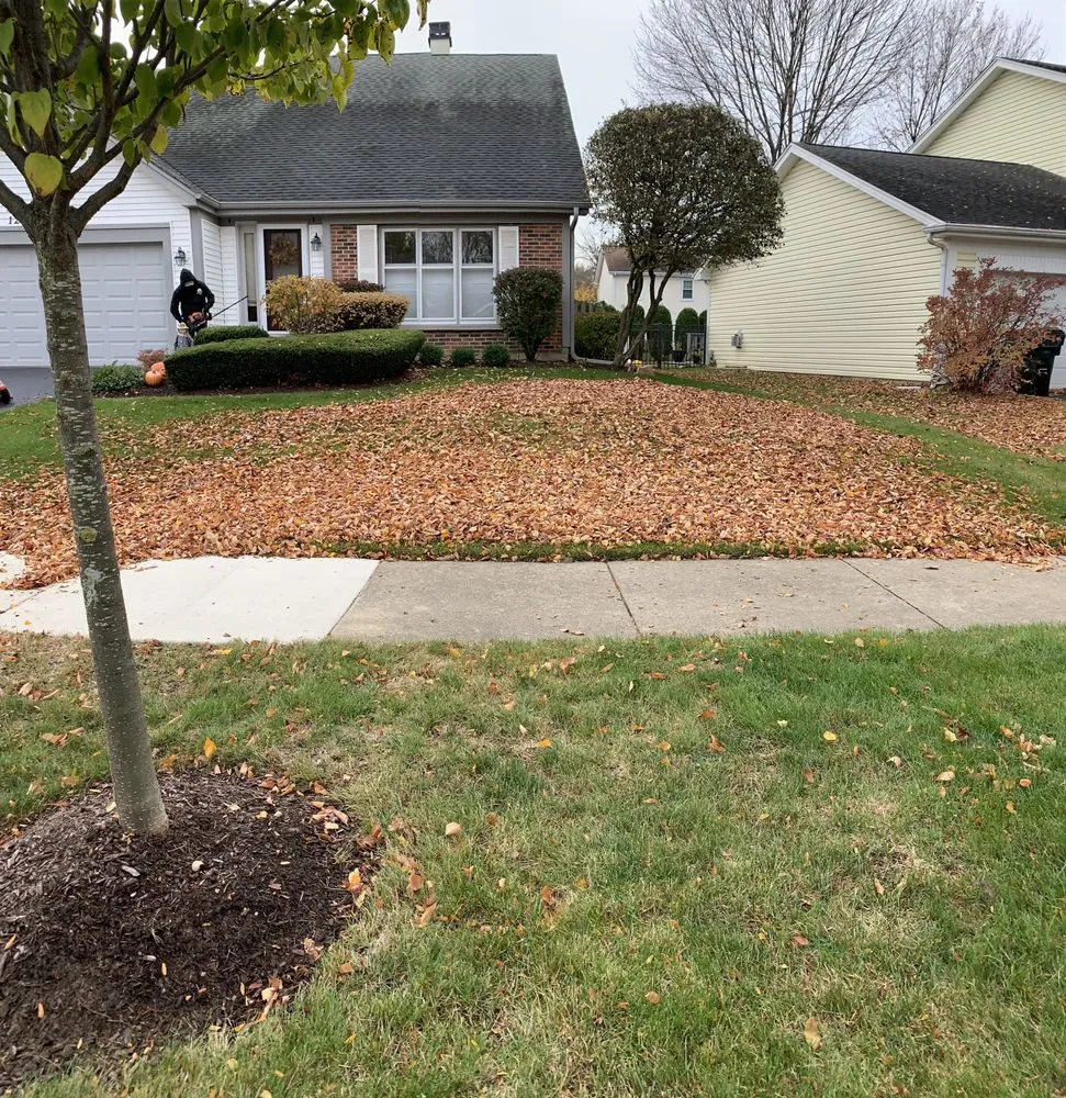 Local outdoor landscaping experts serving Carpentersville, IL - S Gonzalez Landscaping