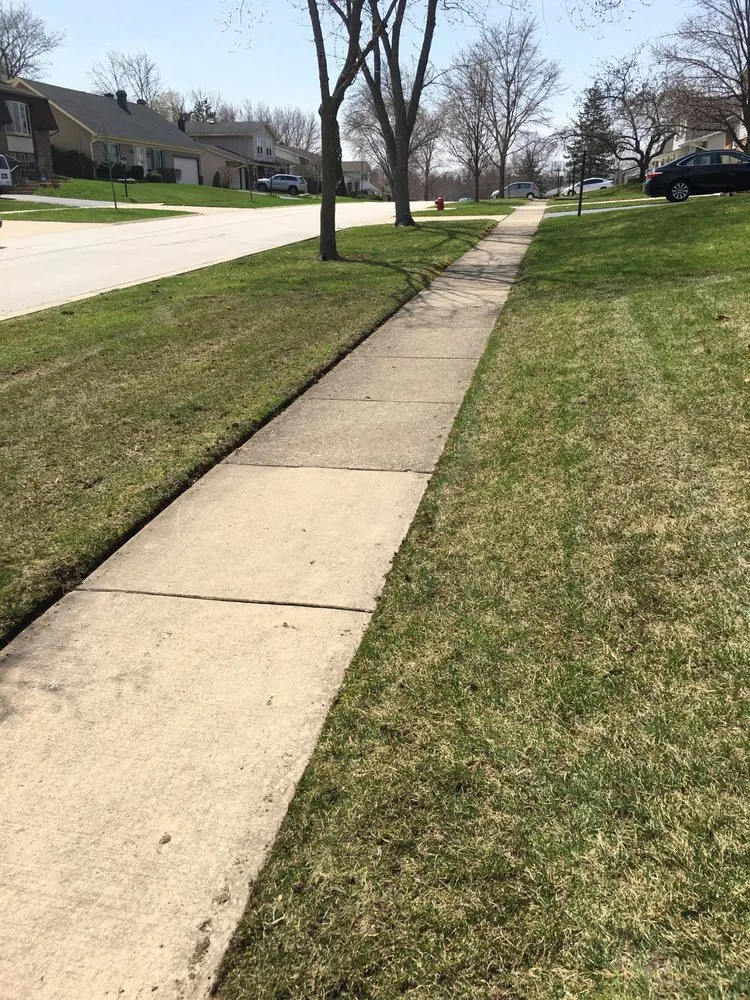 Reliable landscape installation for beautiful yards across Carpentersville, IL - S Gonzalez Landscaping
