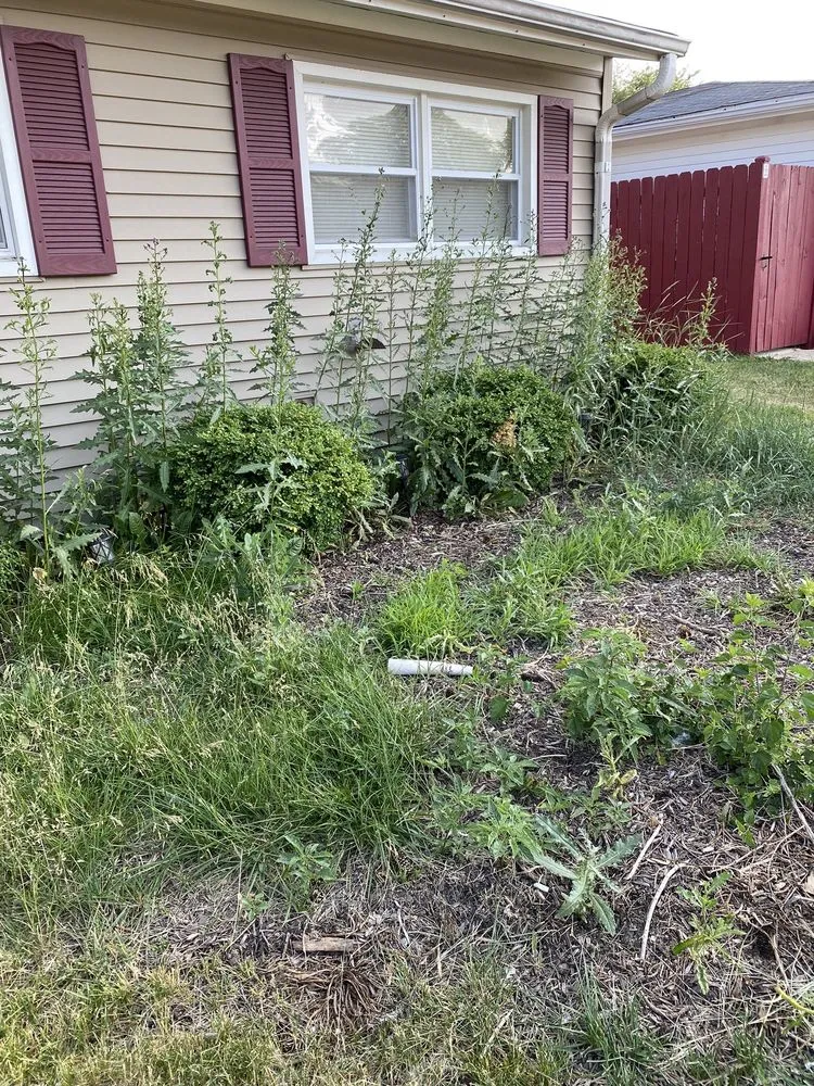 Reliable yard maintenance near you across Carpentersville, IL - S Gonzalez Landscaping