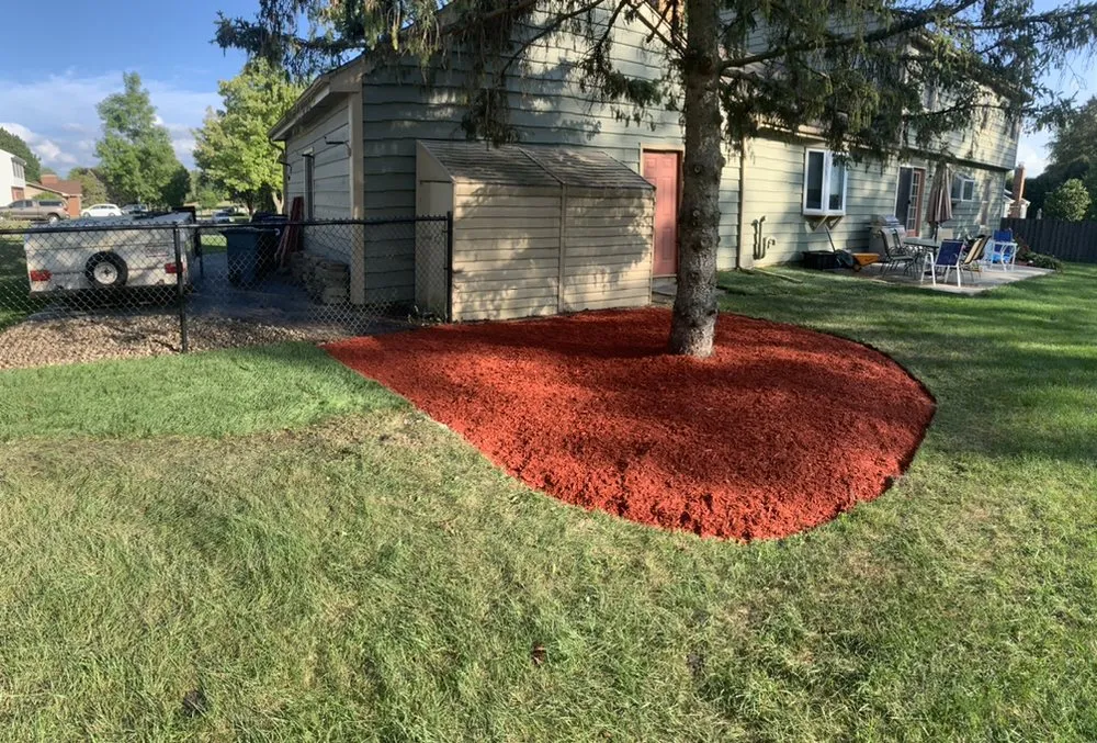 Top-rated landscaping services in Carpentersville, IL by S Gonzalez Landscaping