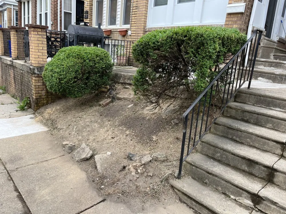 Trusted yard cleanup service in Philadelphia, PA by S Grass Cutting