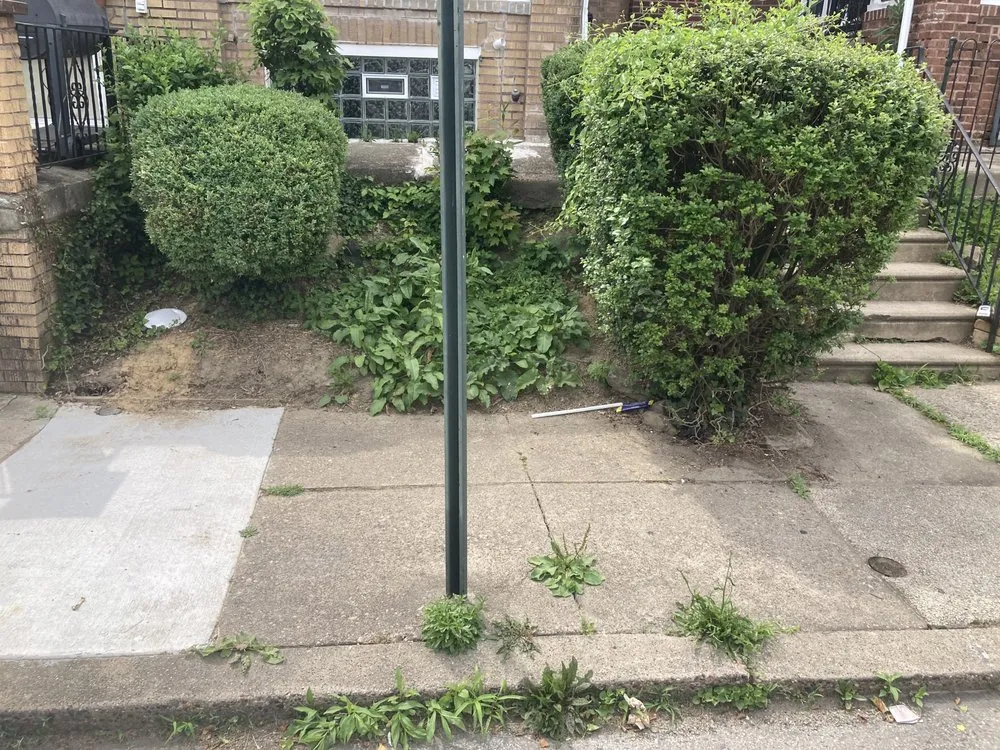 Professional outdoor landscaping near you across Philadelphia, PA - S Grass Cutting