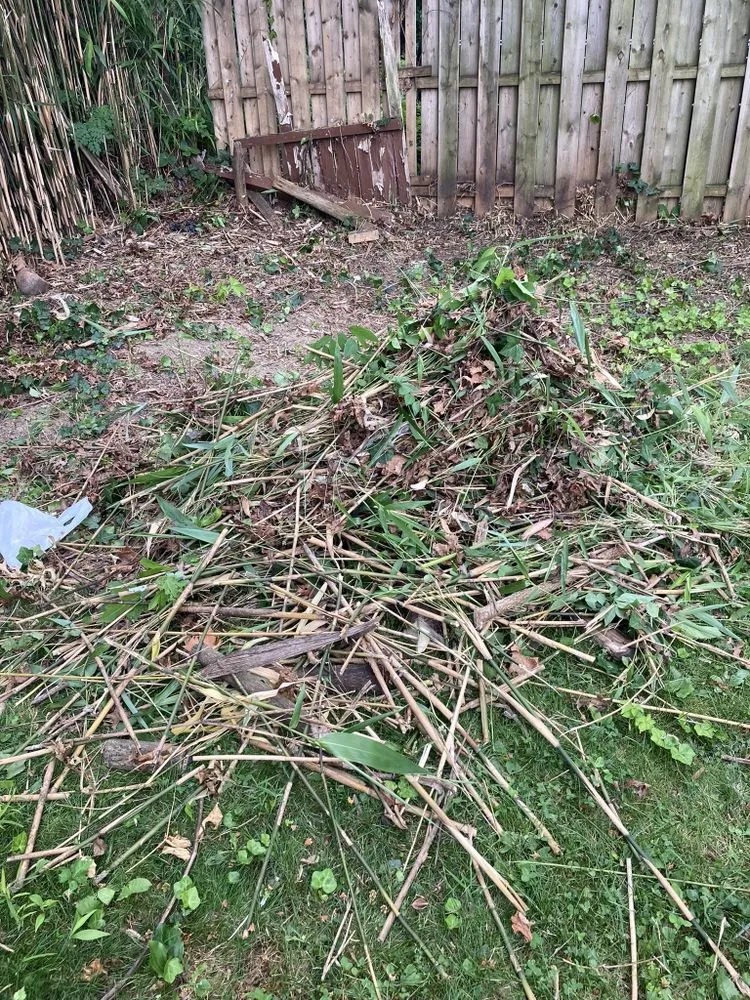 Professional yard cleanup service experts serving Philadelphia, PA - S Grass Cutting