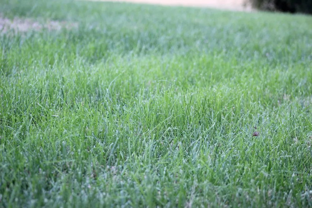 Reliable lawn mowing service in Lawrence, KS - S H Lawn Care