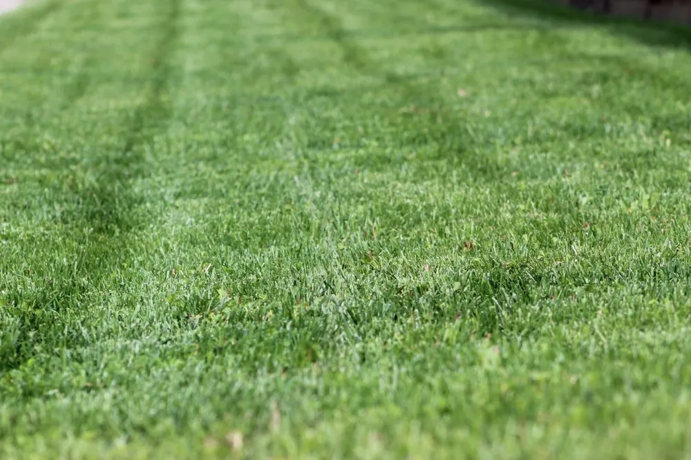 Custom lawn care service in Lawrence, KS - S H Lawn Care