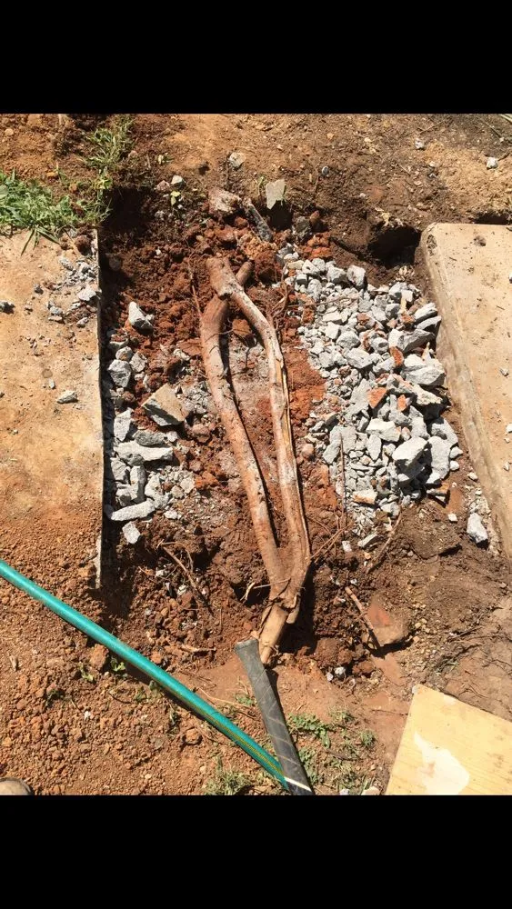 Reliable yard maintenance for year-round maintenance in Knoxville, TN by S I C Home Improvements & Landscaping